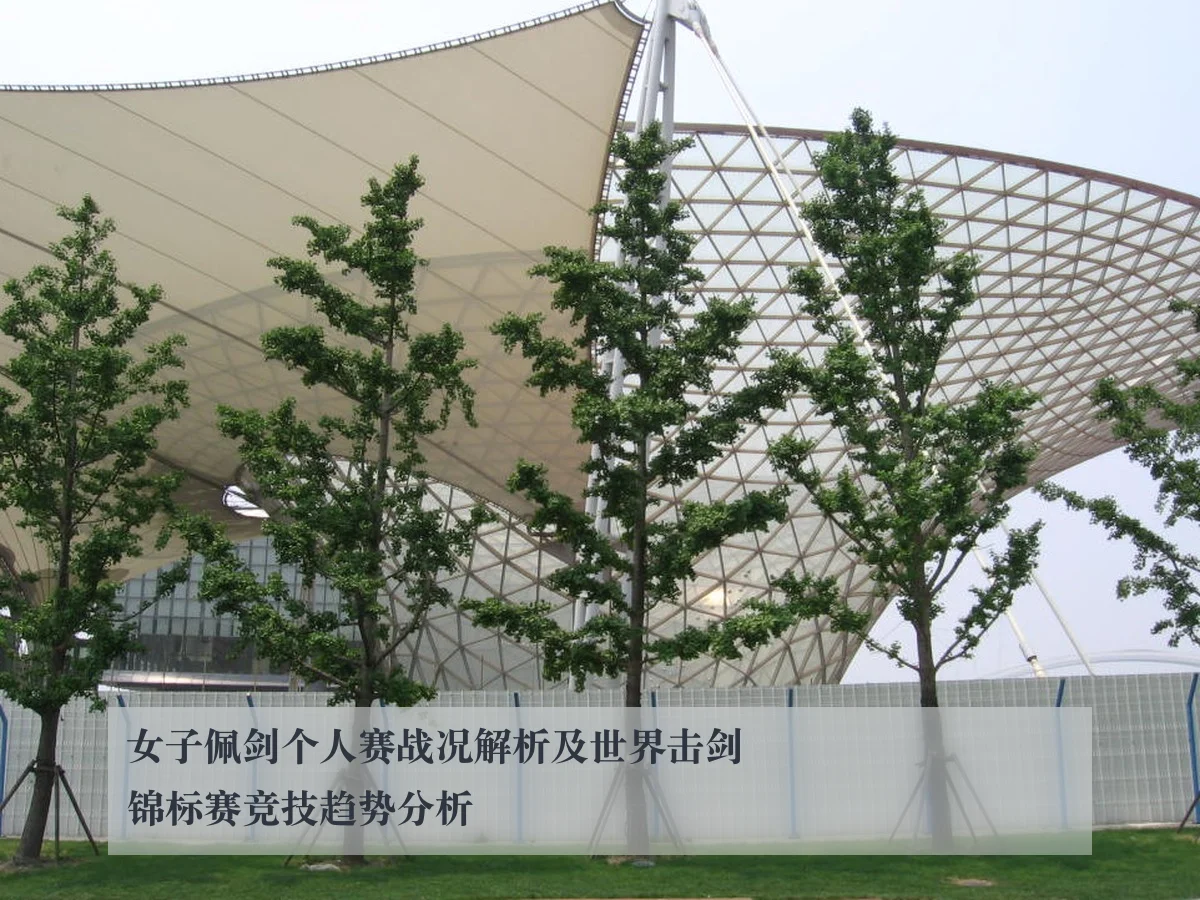 女子佩剑个人赛战况解析及世界击剑锦标赛竞技趋势分析 | ky.ccAPP